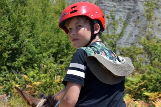 Jeep Safari Berat Hiking Caravan Mule in Tomori Holy Mount