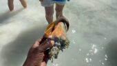 FUN DAY -