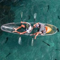 Private & Custom Tours