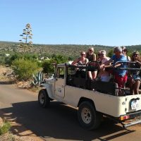 Day Trips & Excursions