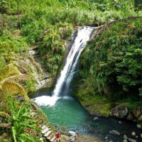 Tours & Sightseeing