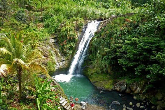 Half-Day Concord Waterfall and Chocolate Factory Tour