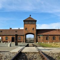 Private & Custom Tours