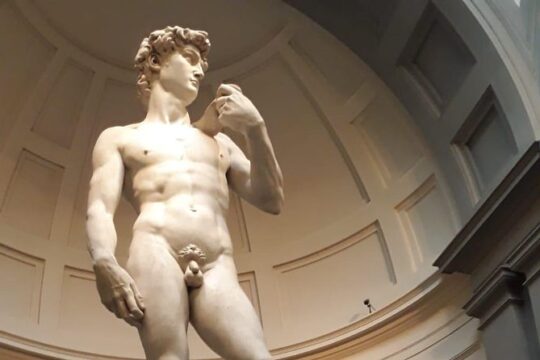 David & Academy Gallery Guided Tour - Semi-Private