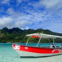 Half-day Tours