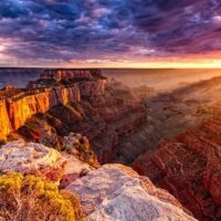 Eco Tours