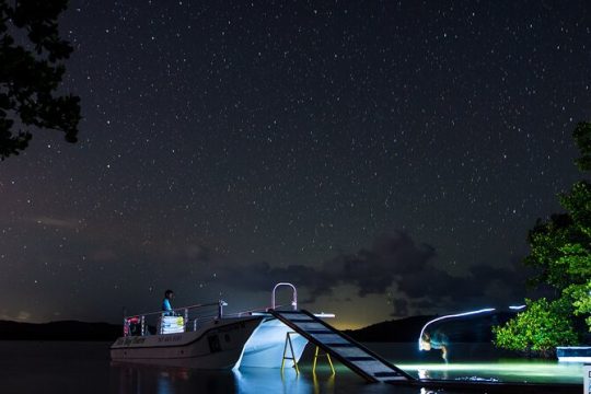 1-Hour Bioluminescent Boat Tour in Mosquito Bay, Vieques