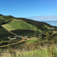 Walking & Biking Tours