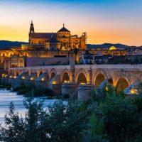 Private & Custom Tours