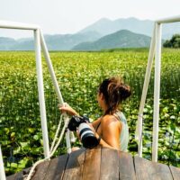 Cruises, Sailing & Water Tours