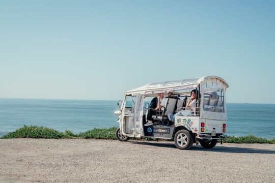 Half Day Private Tour of Historic Porto and Afurada Beach Village on a Tuk Tuk