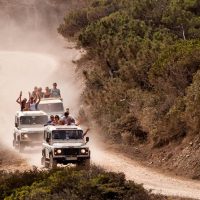 Full-day Tours