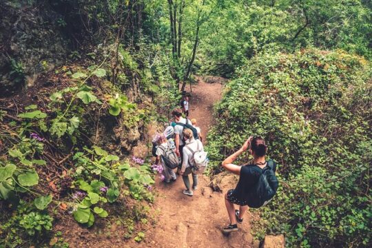 Full Day Rainforest Tour with Tasting and Swimming Time