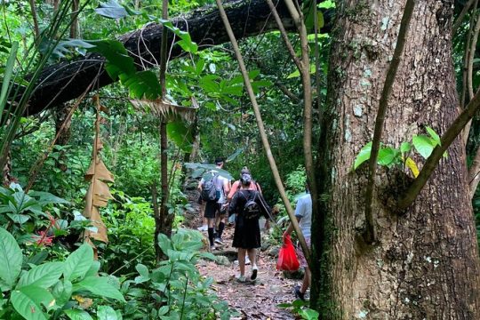 Rainforest River Nature Walk Adventure and Luquillo Beach
