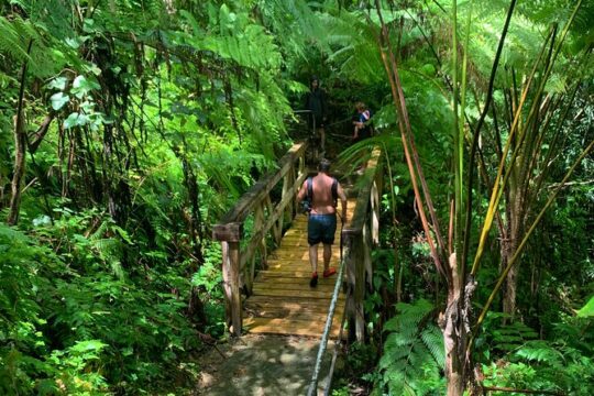 El Yunque National Forest Adventure and Luquillo Beach Combo