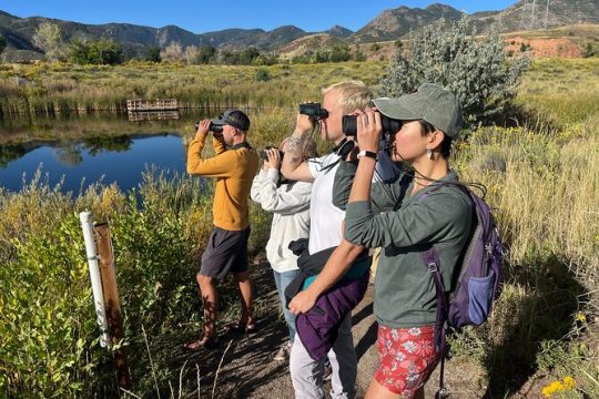 2 Hours of Mindful Bird Watching near Denver