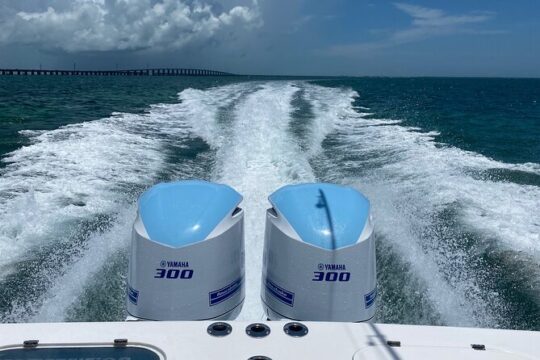 3 Hour Private Snorkeling in Marathon Florida