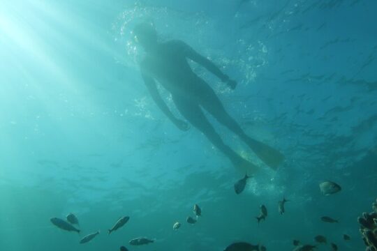 Exclusively Private Snorkel Adventures Training & Tours Ultimate