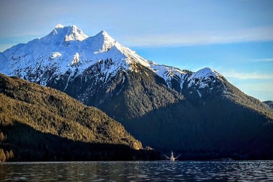 Sea it All -Private Sitka Wildlife LAND & SEA COMBO for 6 w/meal