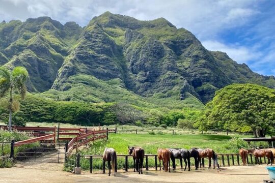 Oahu's Fun and Foodie Tour