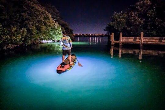 Anna Maria Island Paddleboard Tours