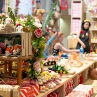 Fashion Shows & Tours