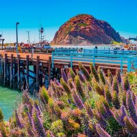 Shore Excursions