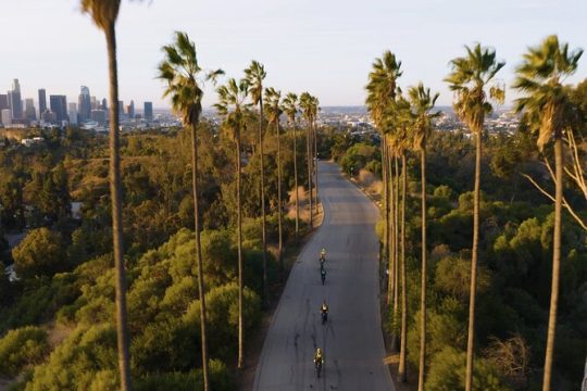 Dodger Stadium Elysian Park Loop