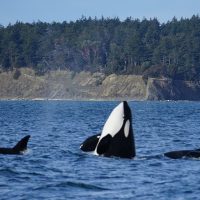 Day Trips & Excursions