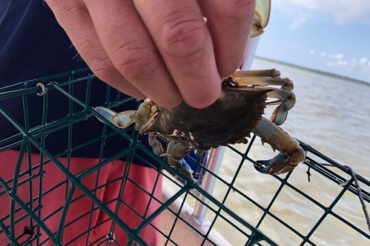 Small Group Crabbing Experience in Ocean City Bay