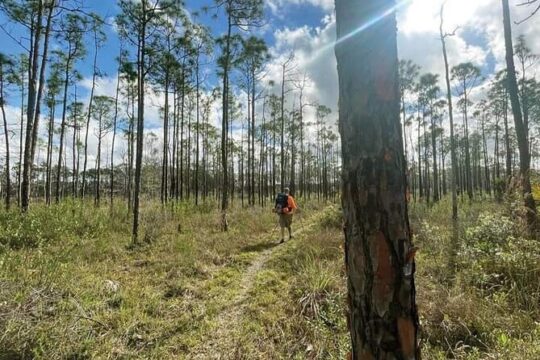 Florida Backcountry Overnight Camping Adventure