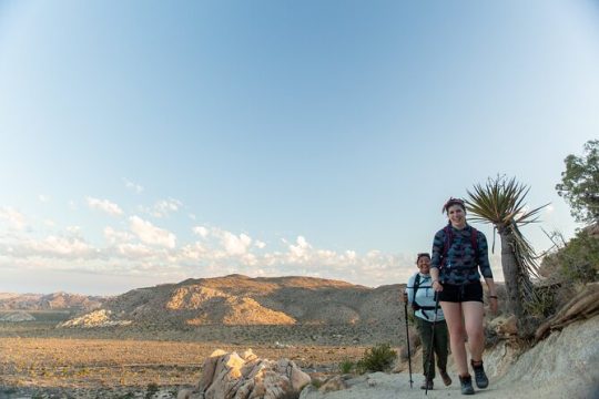 Joshua Tree Small Group Tour and Hike