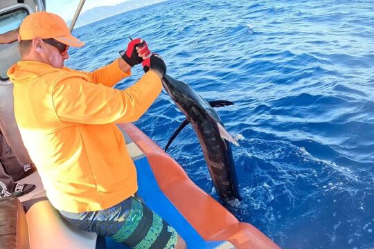Oahu's Unique Whale Watching and Fishing Charter