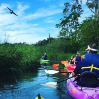Cruises, Sailing & Water Tours