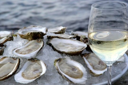 Wine & Brine Boat Cruises