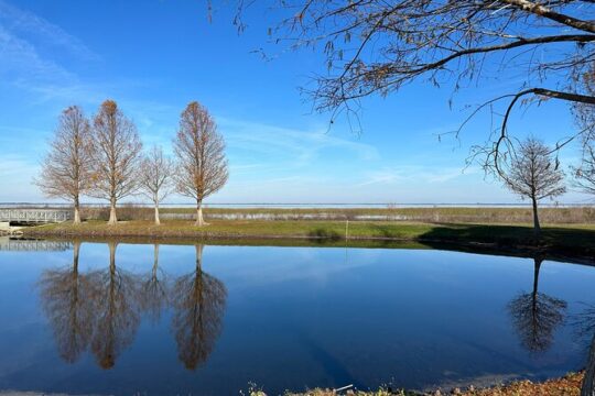 2 Hour Kissimmee St. Cloud Self-Guided Lakefront Tour on EBike