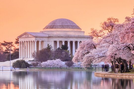 3 Hour Washington DC Guided Sightseeing Tour