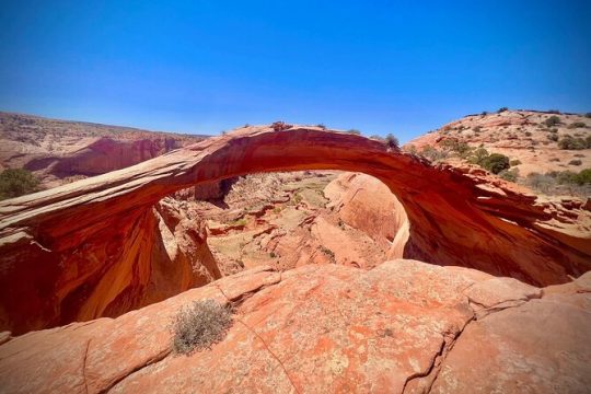Private Eggshell Arch Tour