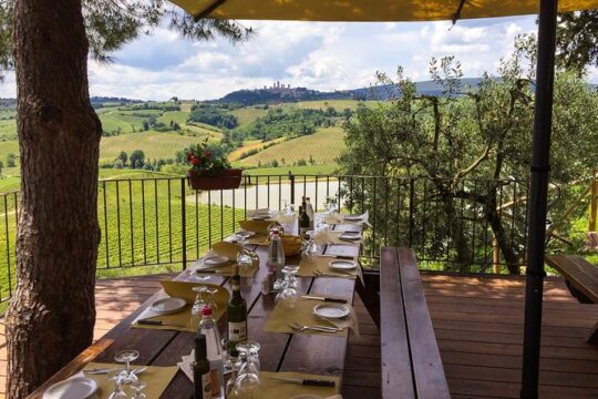 Private Guided E-bike Tour of San Gimignano with Wine Tasting