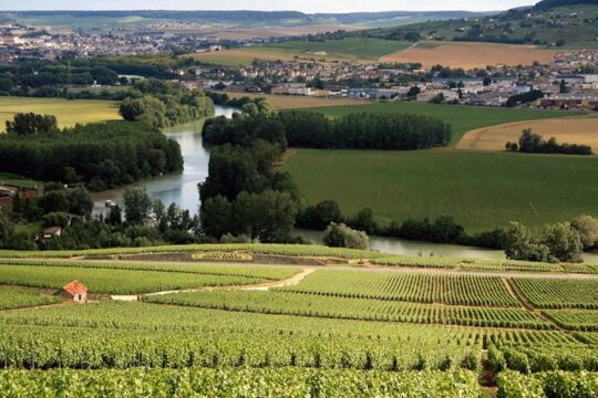 Private Guided Tour in Champagne from Paris with Moet&Chandon visit.