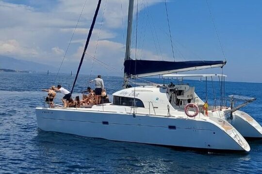 Dolphin trips on a catamaran