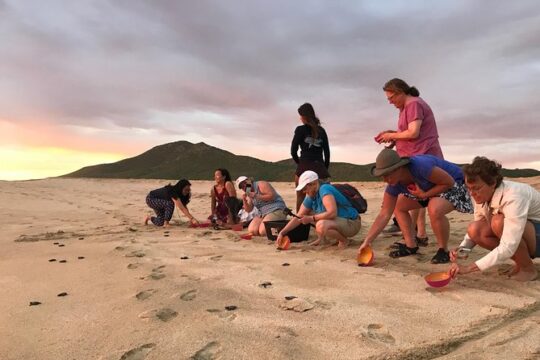 Cabo Turtle Release