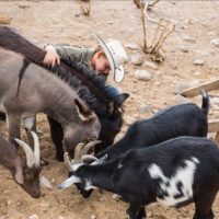 4WD, ATV & Off-Road Tours