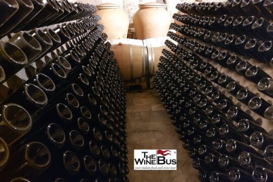 Private Irpinia Wine Tour from SORRENTO with sommelier