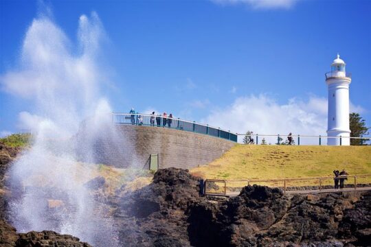 Private Southern Highlands & South Coast Tour