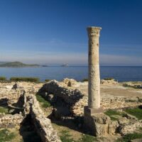 Tours & Sightseeing