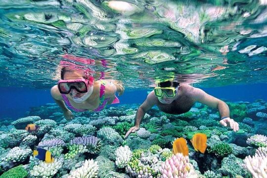 Jungle Tour Adventure Ride in the Mangroves & Snorkel (Couples)
