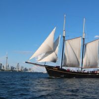 Sailing Trips