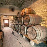 Archaeology Tours