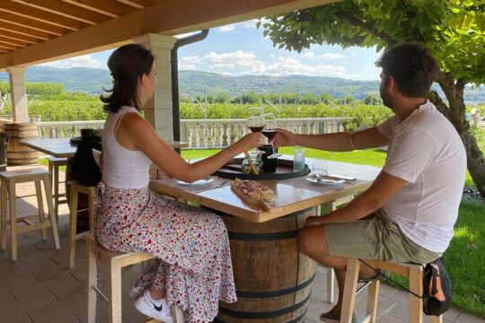 Amarone wine experience in Verona countryside